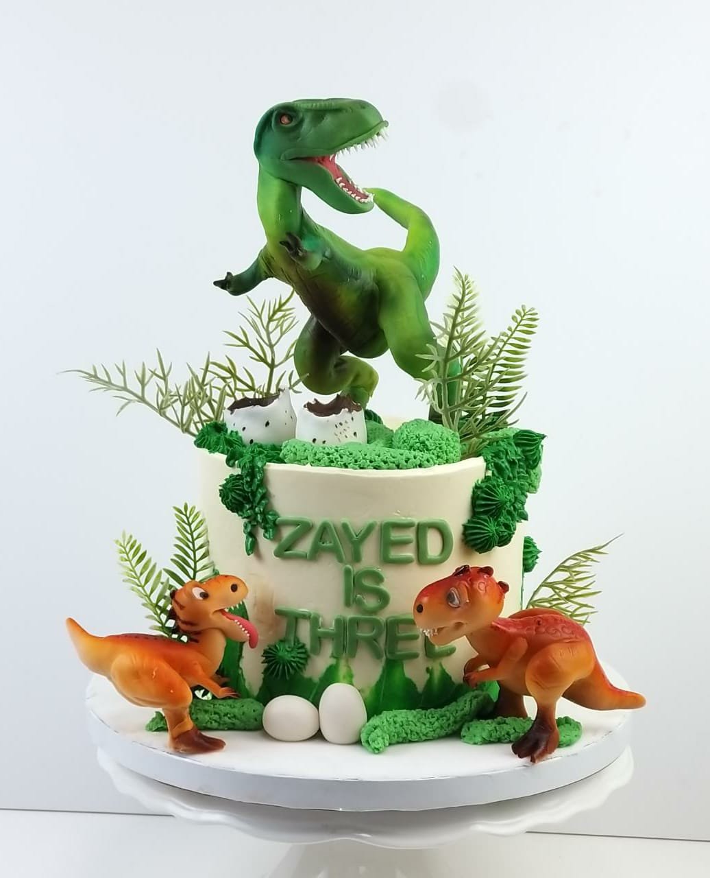 Dinosaur Cake 03