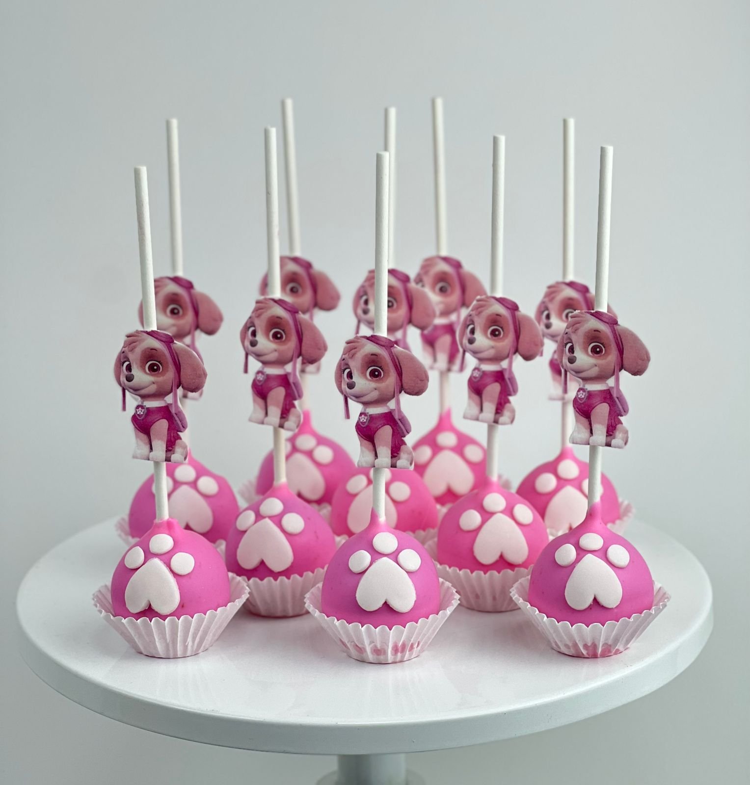 Skye Paw Patrol Cakepops  ( per piece)